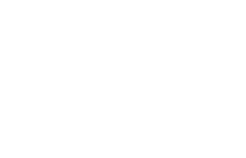 Silver Linings Playbook