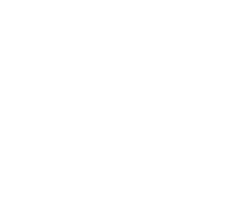 A Complete Unknown