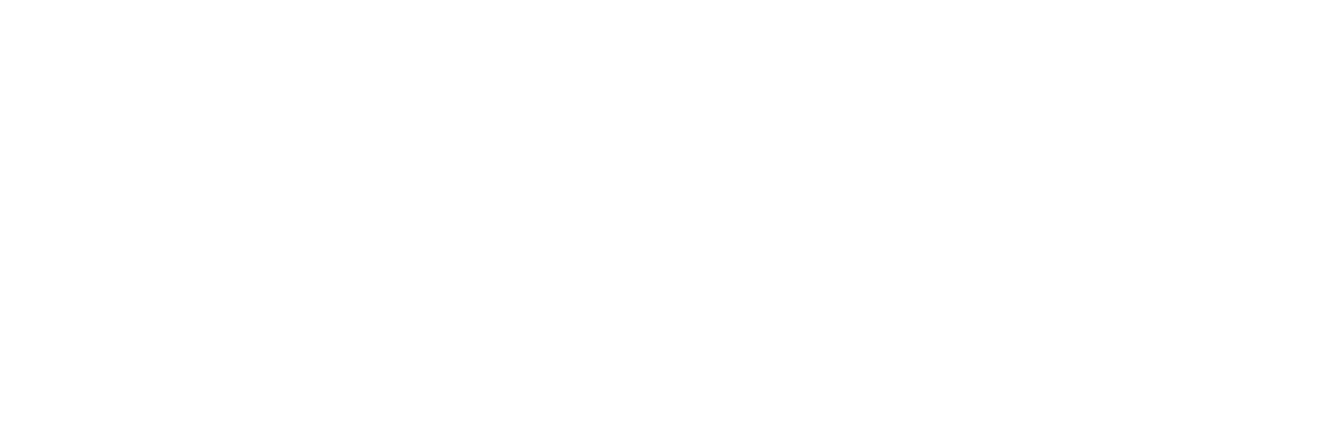 Society of the Snow
