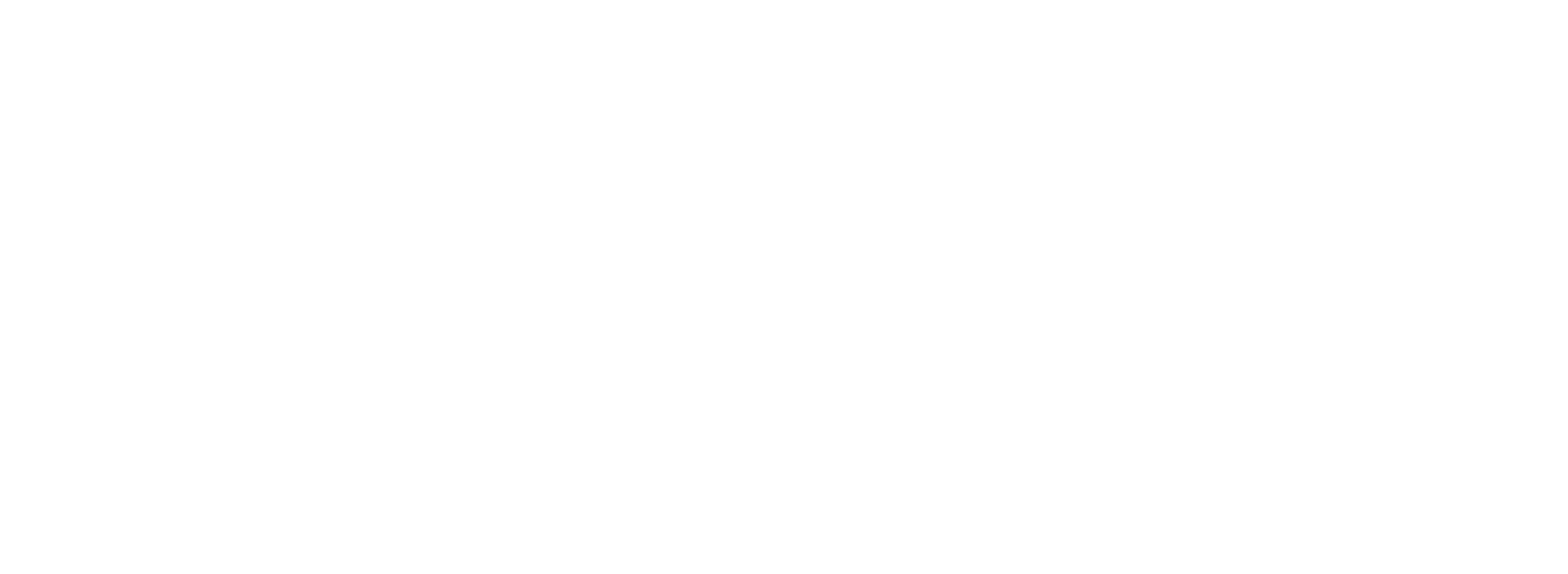 The Punisher: One Last Kill