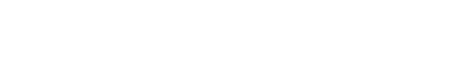 Apollo 11